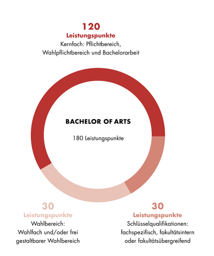 Grafik zum Aufbau des Studienganges